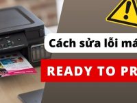 Máy in bị lỗi Ready to Print - Nguyên nhân và cách khắc phục