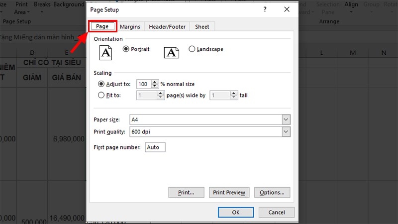 Chọn Page để thiết lập trang in